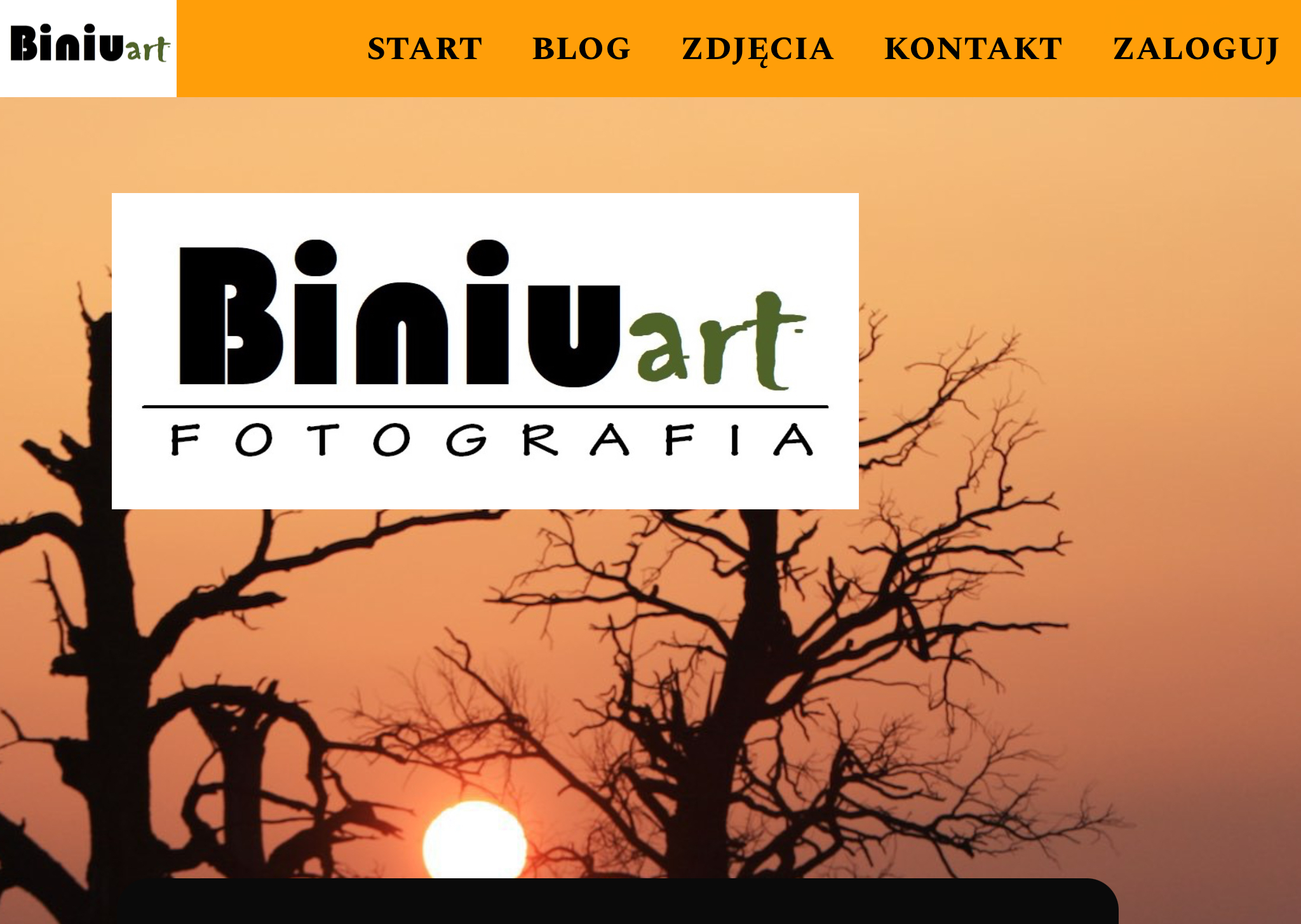 BiniuART image