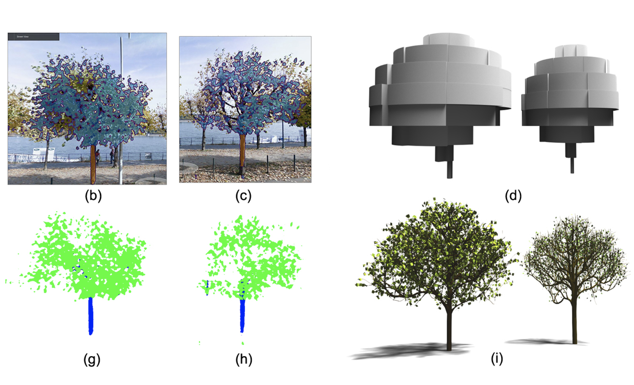 Learning to reconstruct botanical trees from single images image