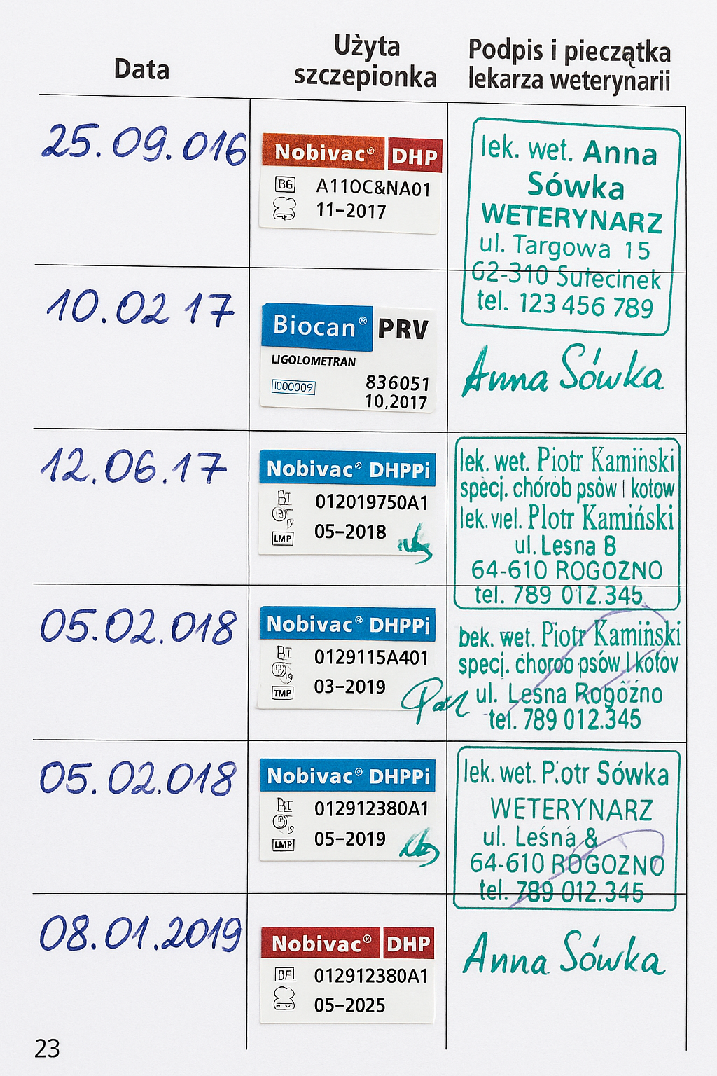 Crookshanks medical record